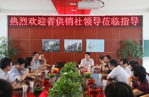 省供銷社馬柏偉主任一行來我公司調研