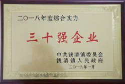 公司被錢清鎮(zhèn)黨委、鎮(zhèn)政府評為“2018年錢清鎮(zhèn)綜合實力三十強企業(yè)”